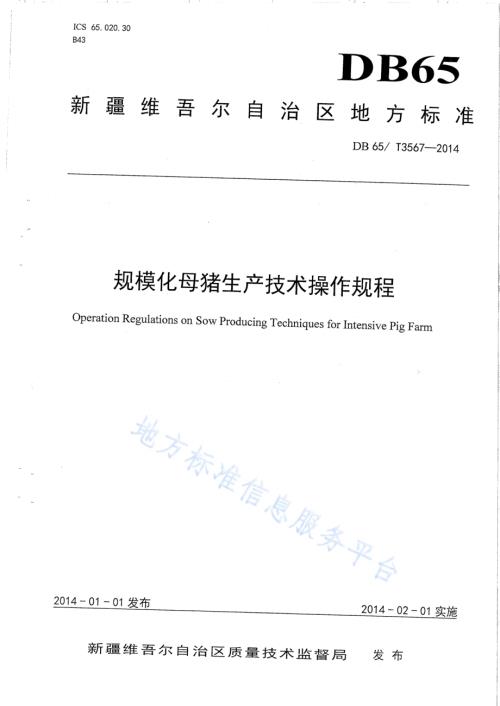 规模化母猪生产技术操作规程DB65／T 3567-2014.pdf
