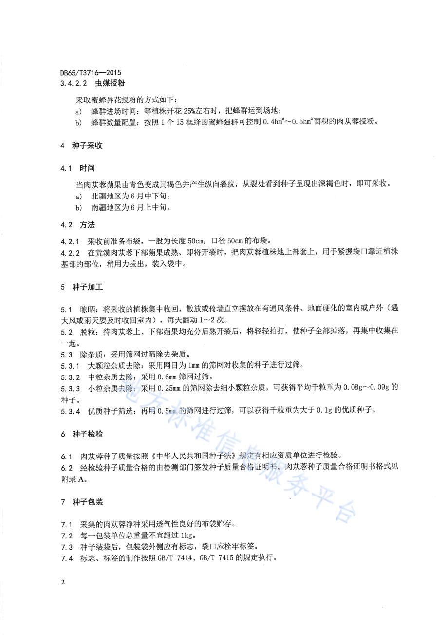 荒漠肉苁蓉制种技术规程DB65／T 3716-2015.pdf_第4页