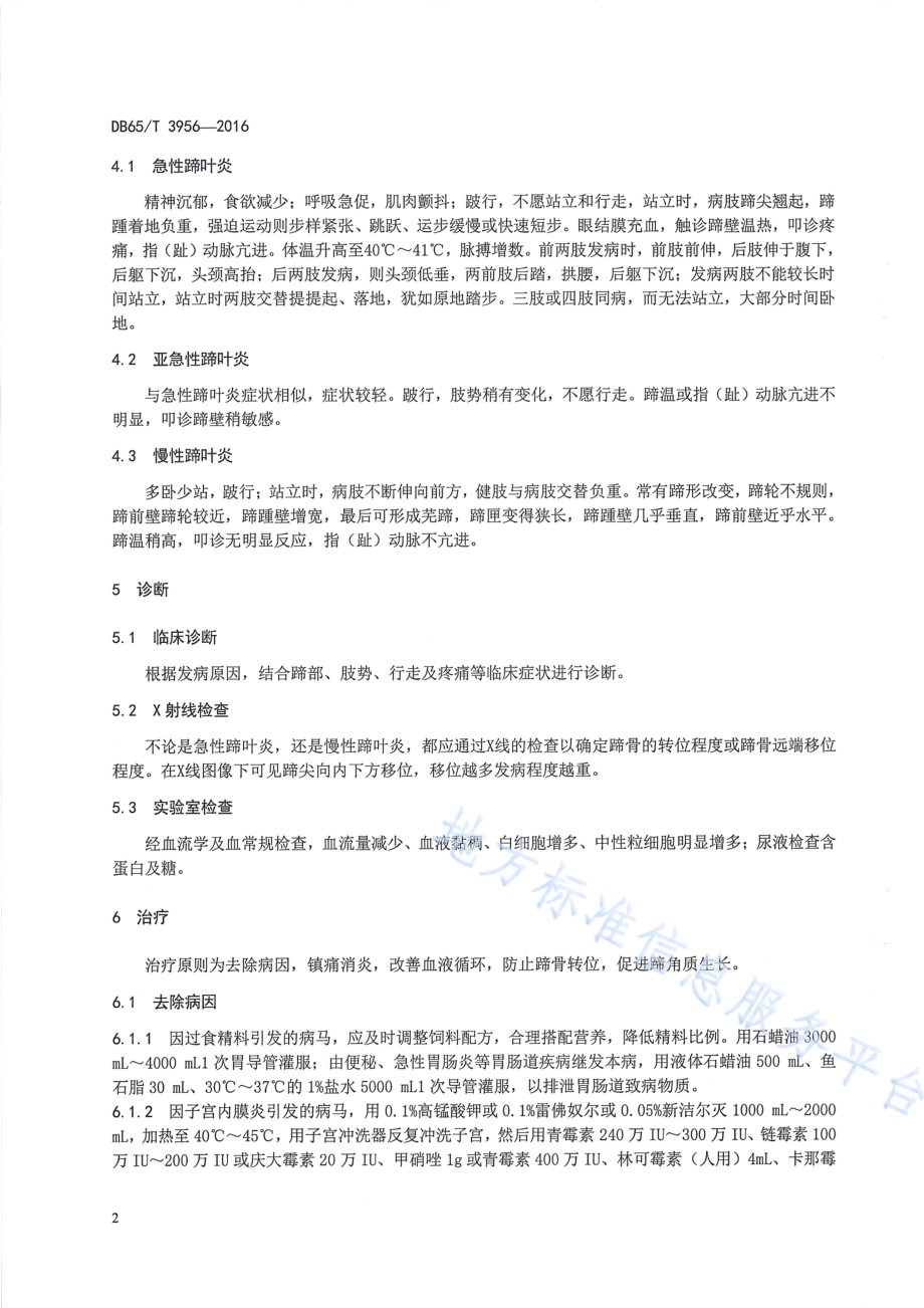 马蹄叶炎防治技术规范DB65／T 3956-2016.pdf_第4页