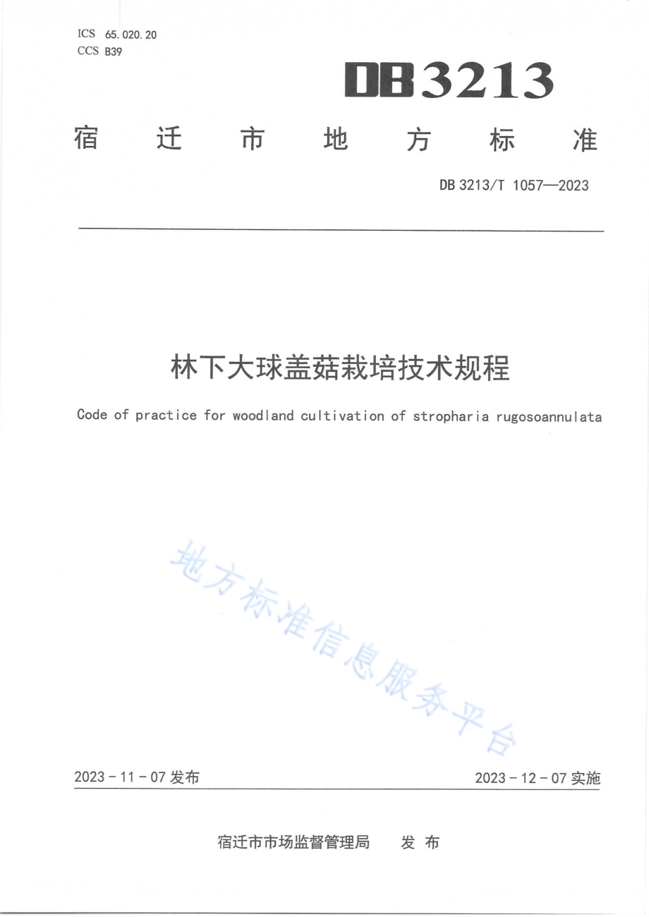 林下大球盖菇栽培技术规程DB3213／T 1057-2023.pdf_第1页