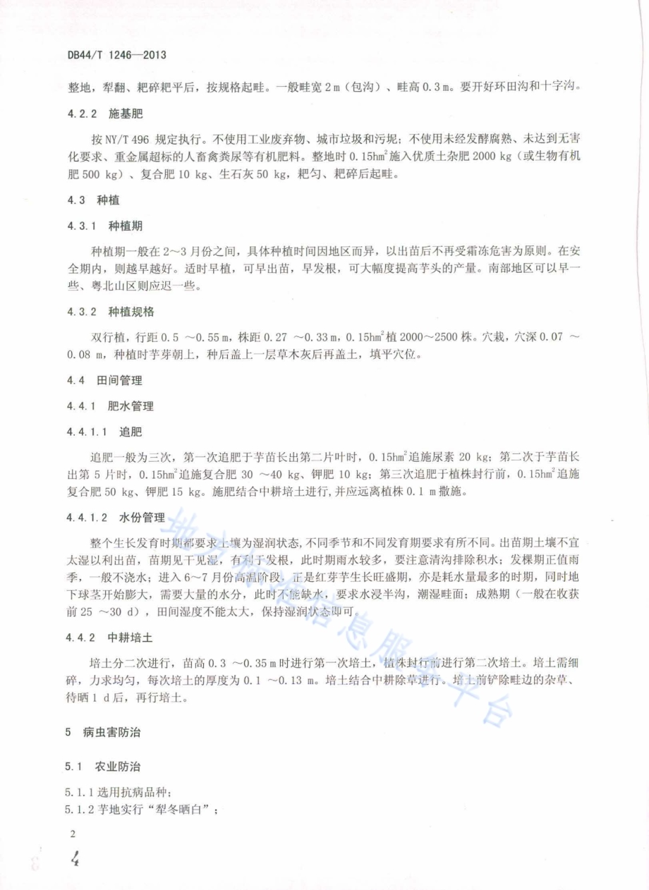 红芽芋生产技术规程DB44／T 1246-2013.pdf_第4页