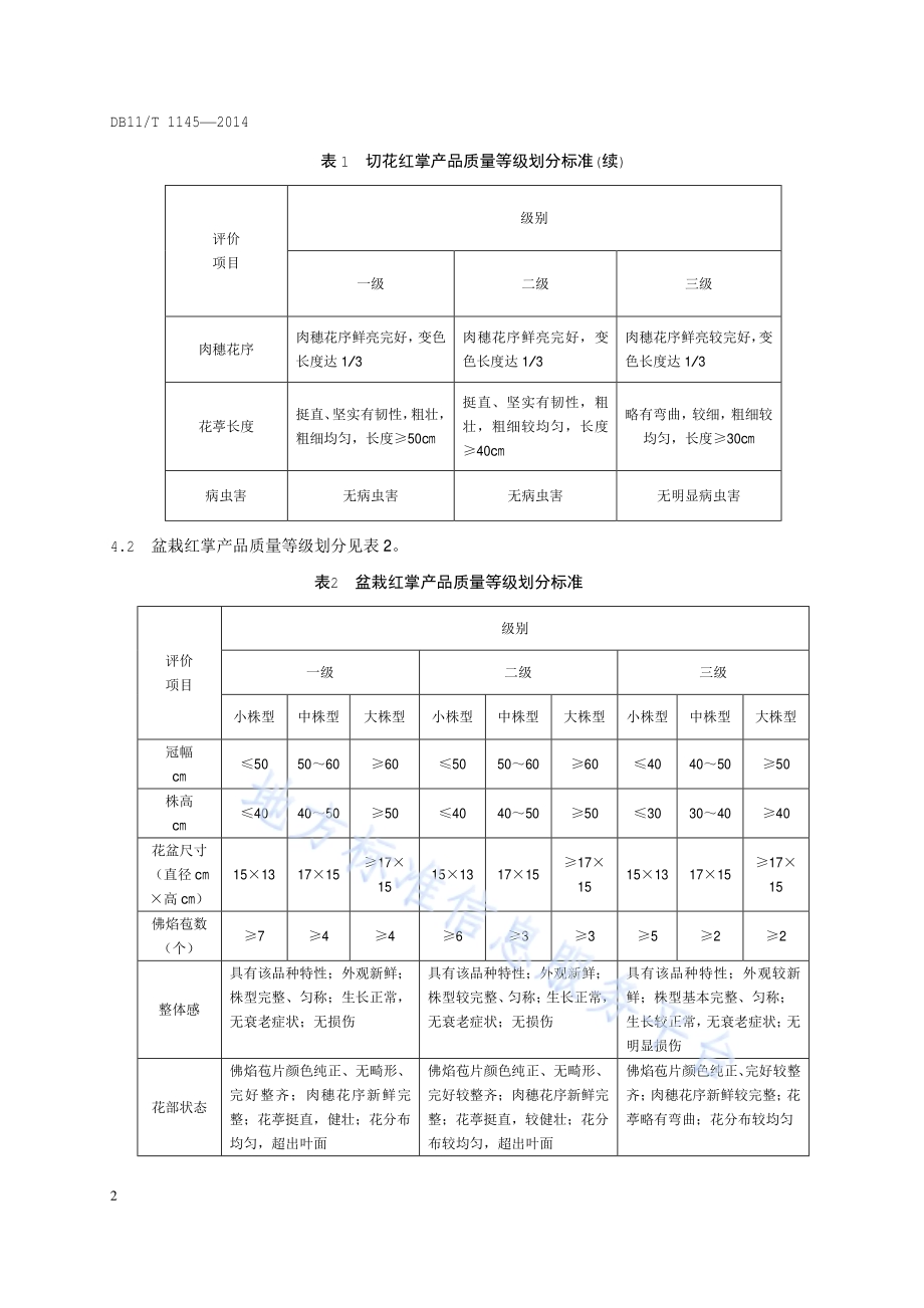 花卉产品等级 红掌DB11／T 1145-2014.pdf_第4页