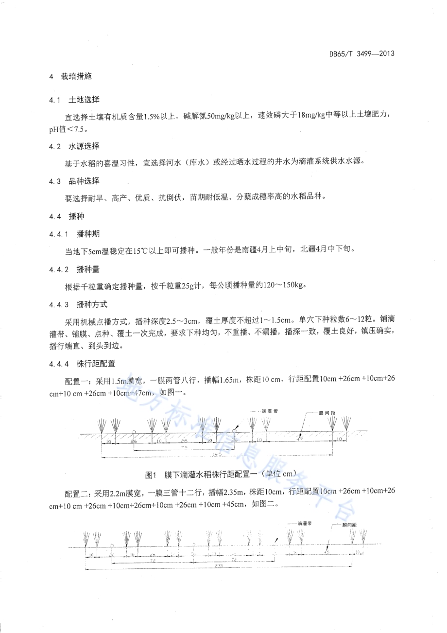 水稻膜下滴灌水肥管理技术规程DB65／T 3499-2013.pdf_第4页