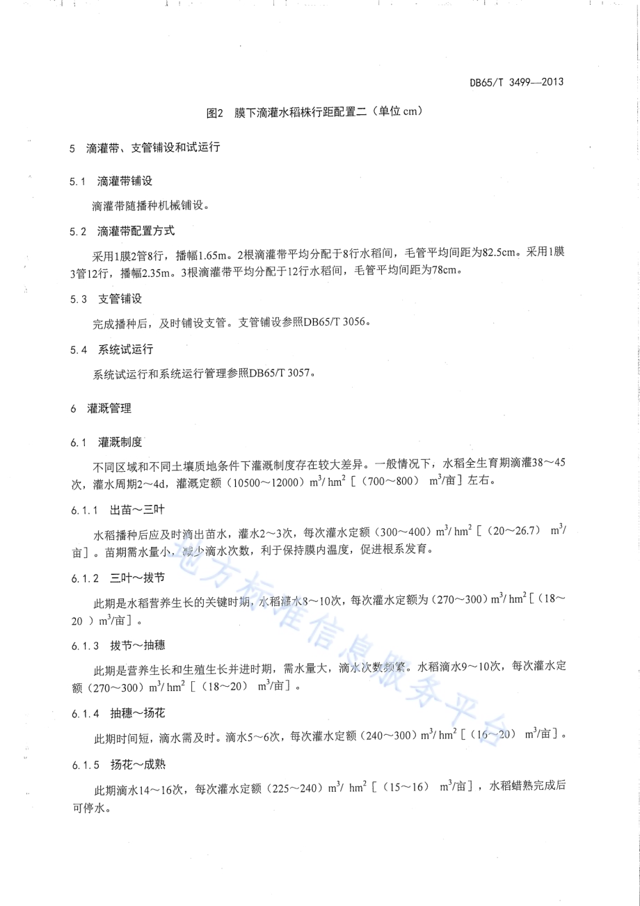 水稻膜下滴灌水肥管理技术规程DB65／T 3499-2013.pdf_第5页