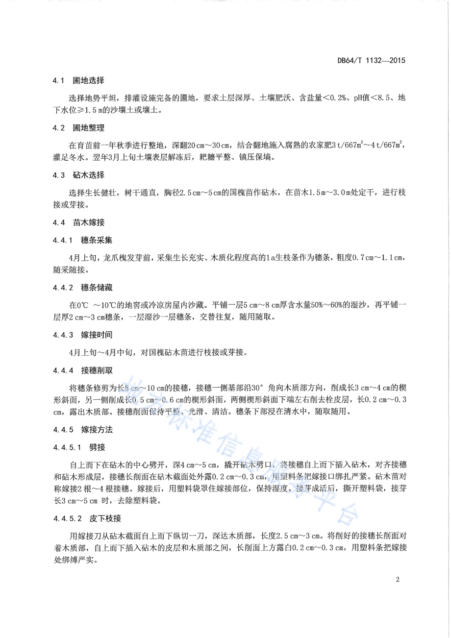 龙爪槐育苗及造林绿化技术规程DB64／T 1132-2015.pdf_第4页