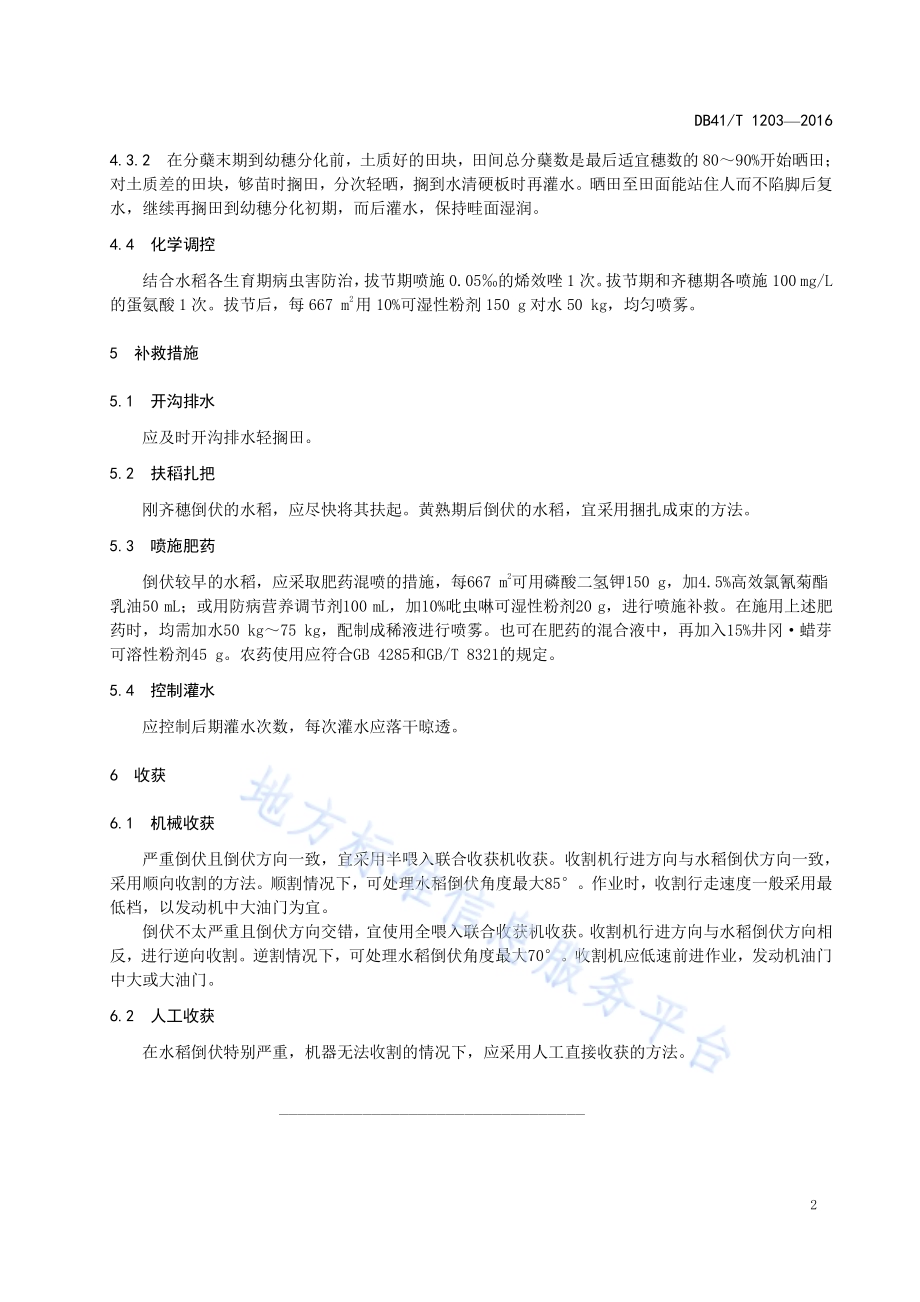 水稻抗倒伏减灾技术规程DB41／T 1203-2016.pdf_第4页
