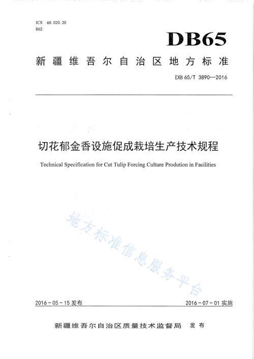 切花郁金香设施促成栽培生产技术规程DB65／T 3890-2016.pdf