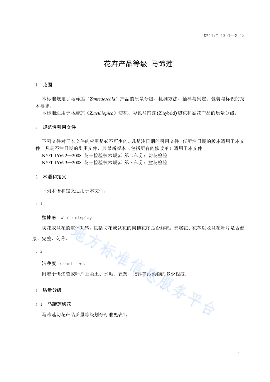 花卉产品等级 马蹄莲DB11／T 1303-2015.pdf_第4页