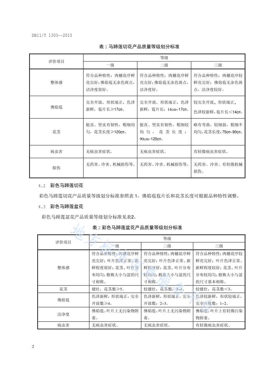 花卉产品等级 马蹄莲DB11／T 1303-2015.pdf_第5页