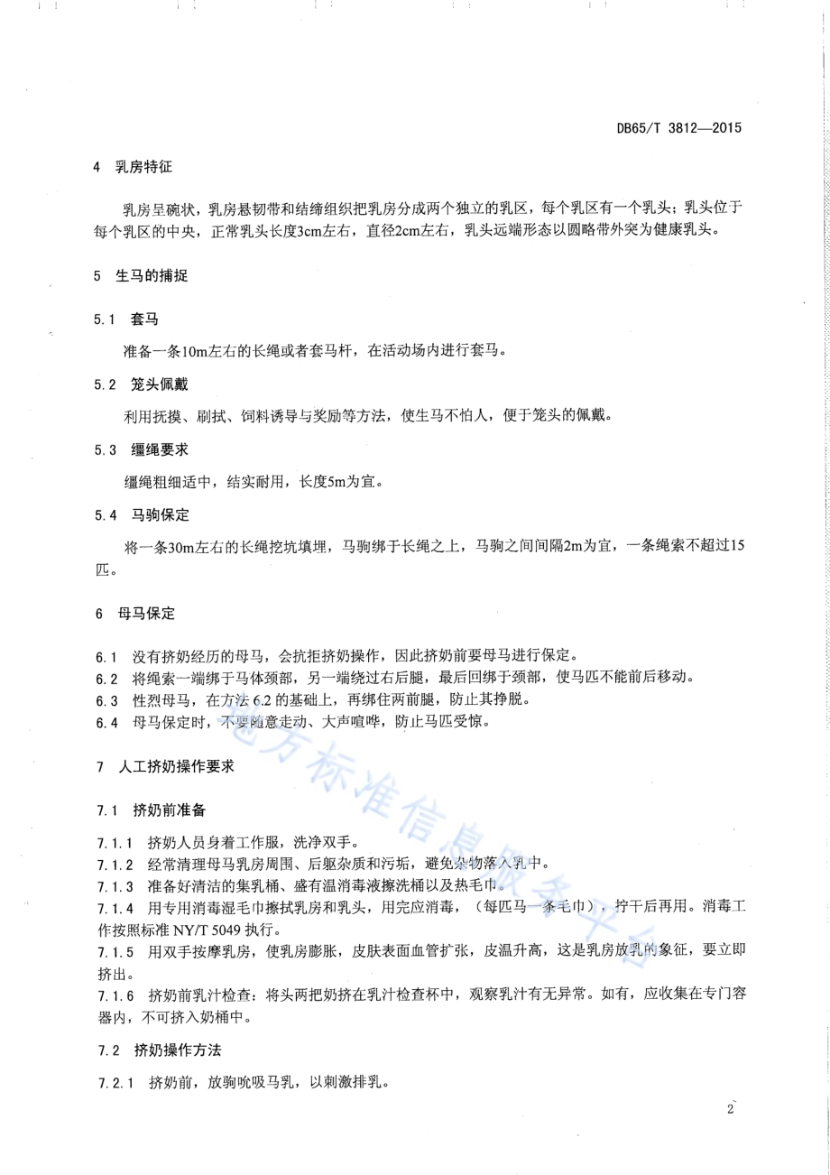 乳用马标准化挤奶的技术规程DB65／T 3812-2015.pdf_第4页