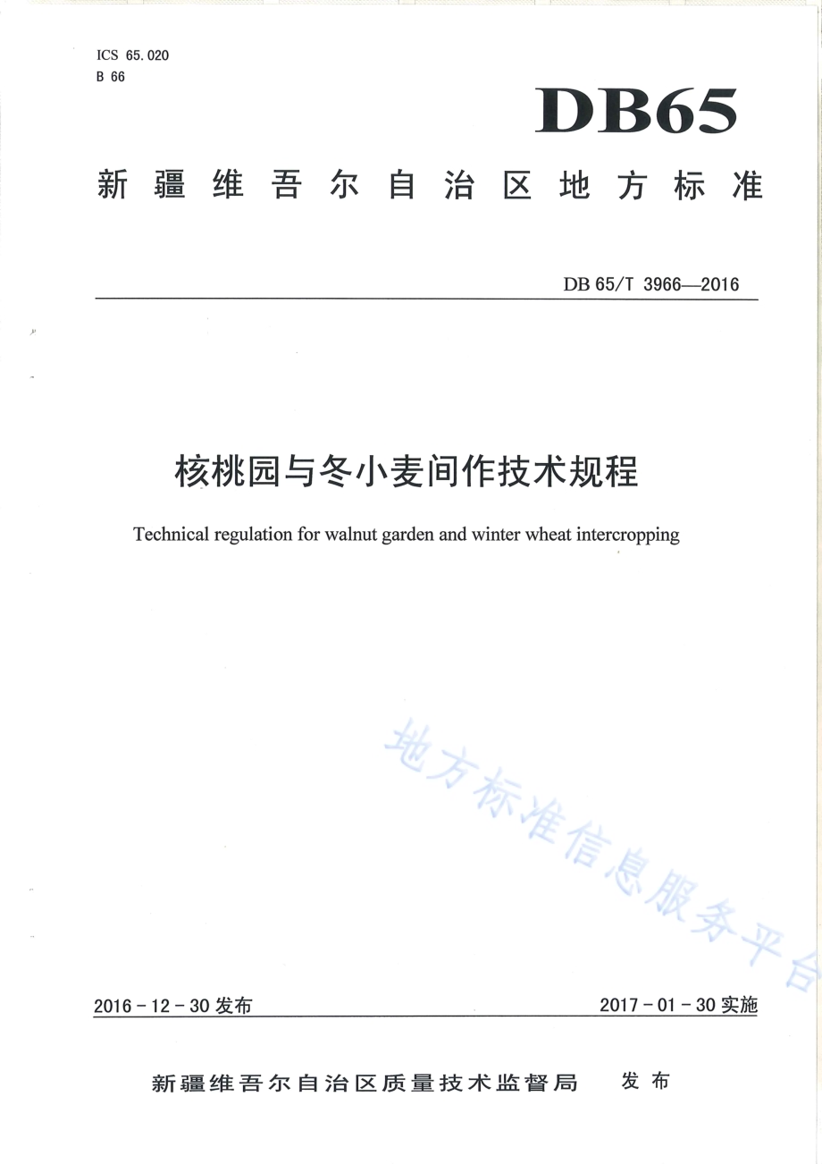 核桃园与冬小麦间作技术规程DB65／T 3966-2016.pdf_第1页