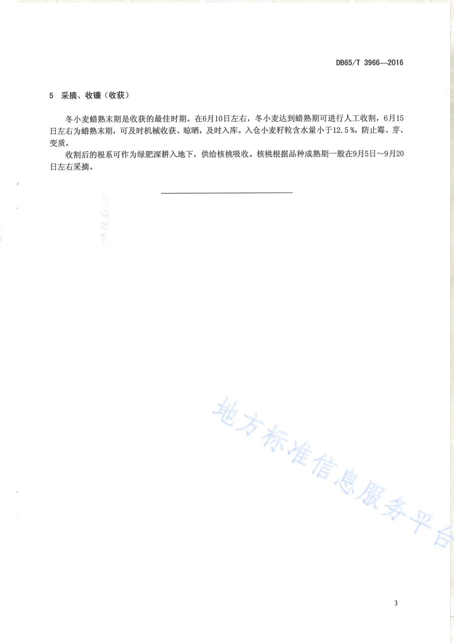 核桃园与冬小麦间作技术规程DB65／T 3966-2016.pdf_第5页