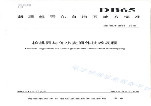 核桃园与冬小麦间作技术规程DB65／T 3966-2016.pdf