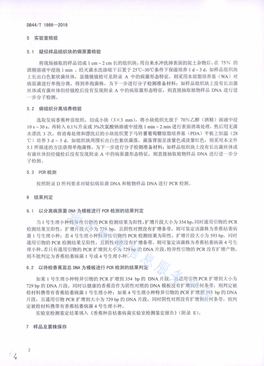 香蕉种苗枯萎病菌分子检测与鉴定技术规程DB44／T 1866-2016.pdf_第4页