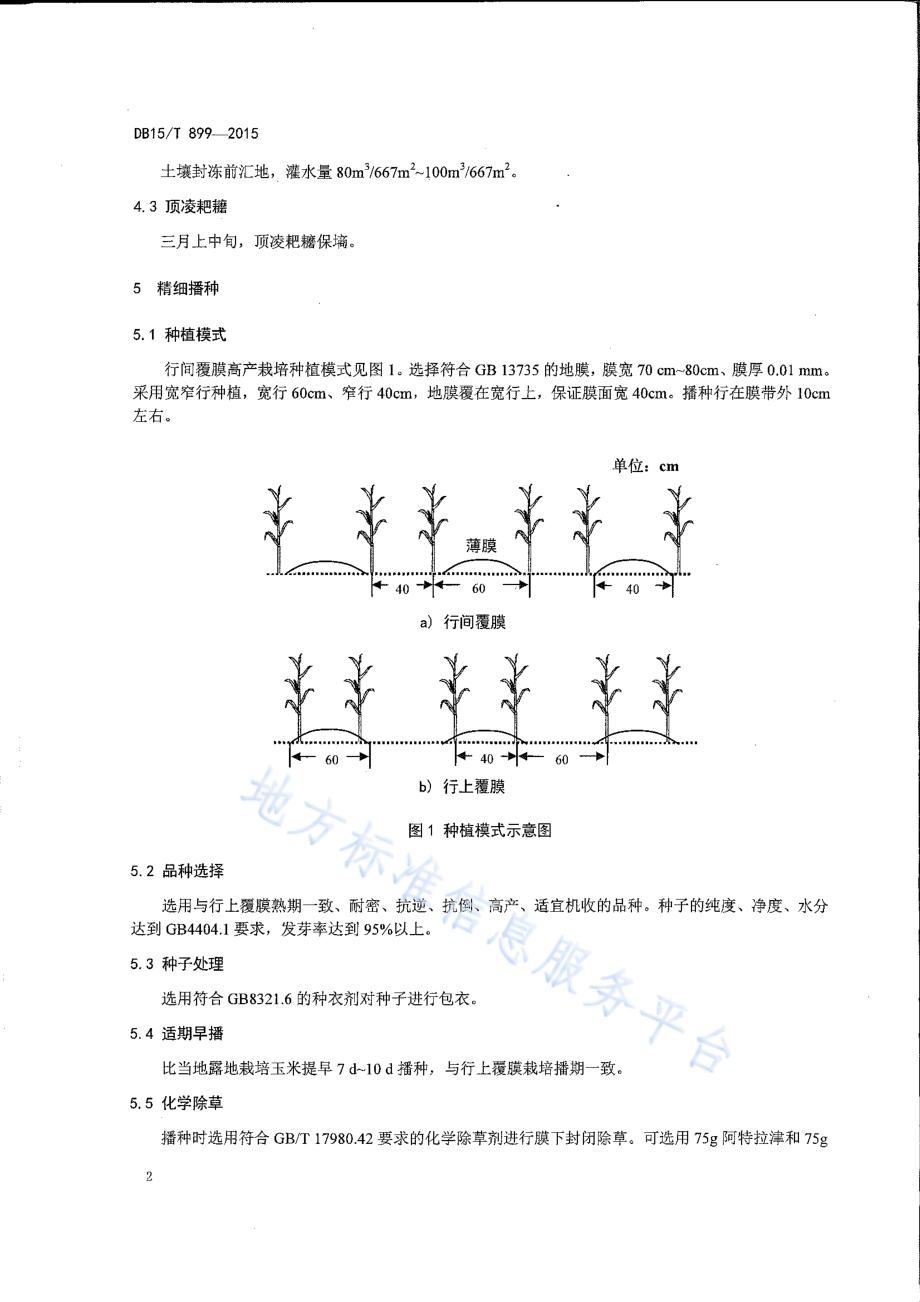 玉米行间覆膜高产栽培技术规程DB15／T 899-2015.pdf_第4页