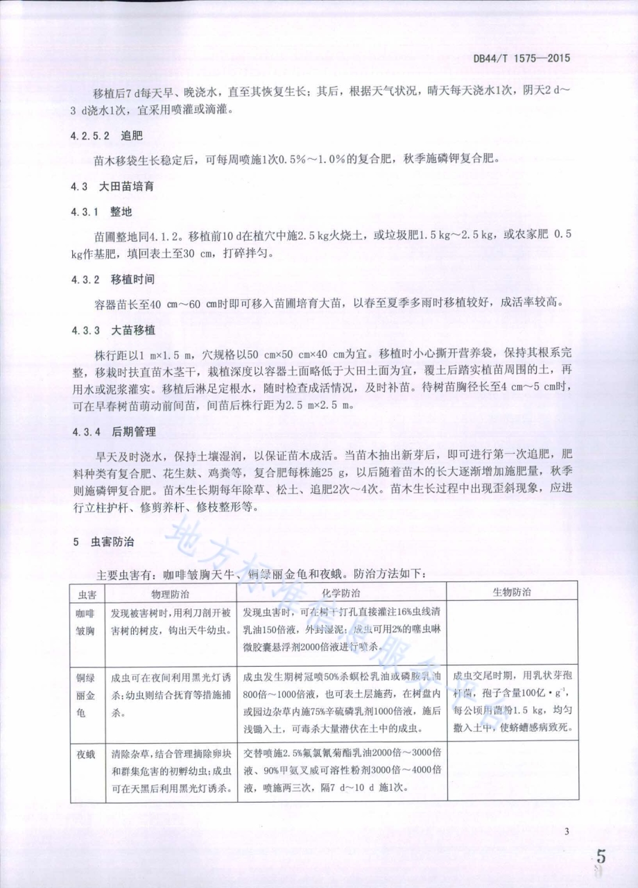 小叶榄仁栽培技术规程DB44／T 1575-2015.pdf_第5页