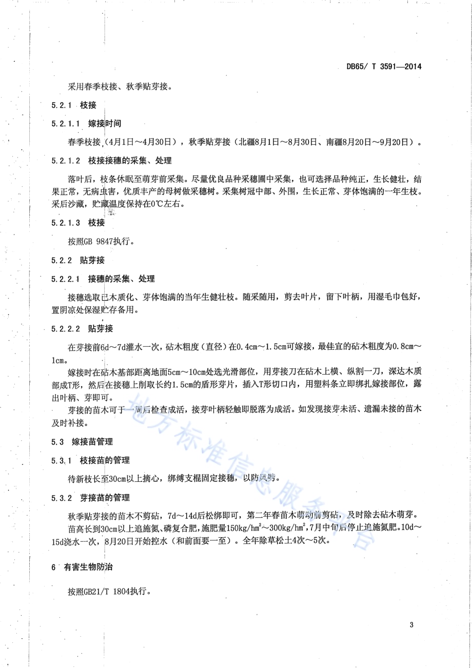 加工型海棠苗木繁育技术规程DB65／T 3591-2014.pdf_第5页