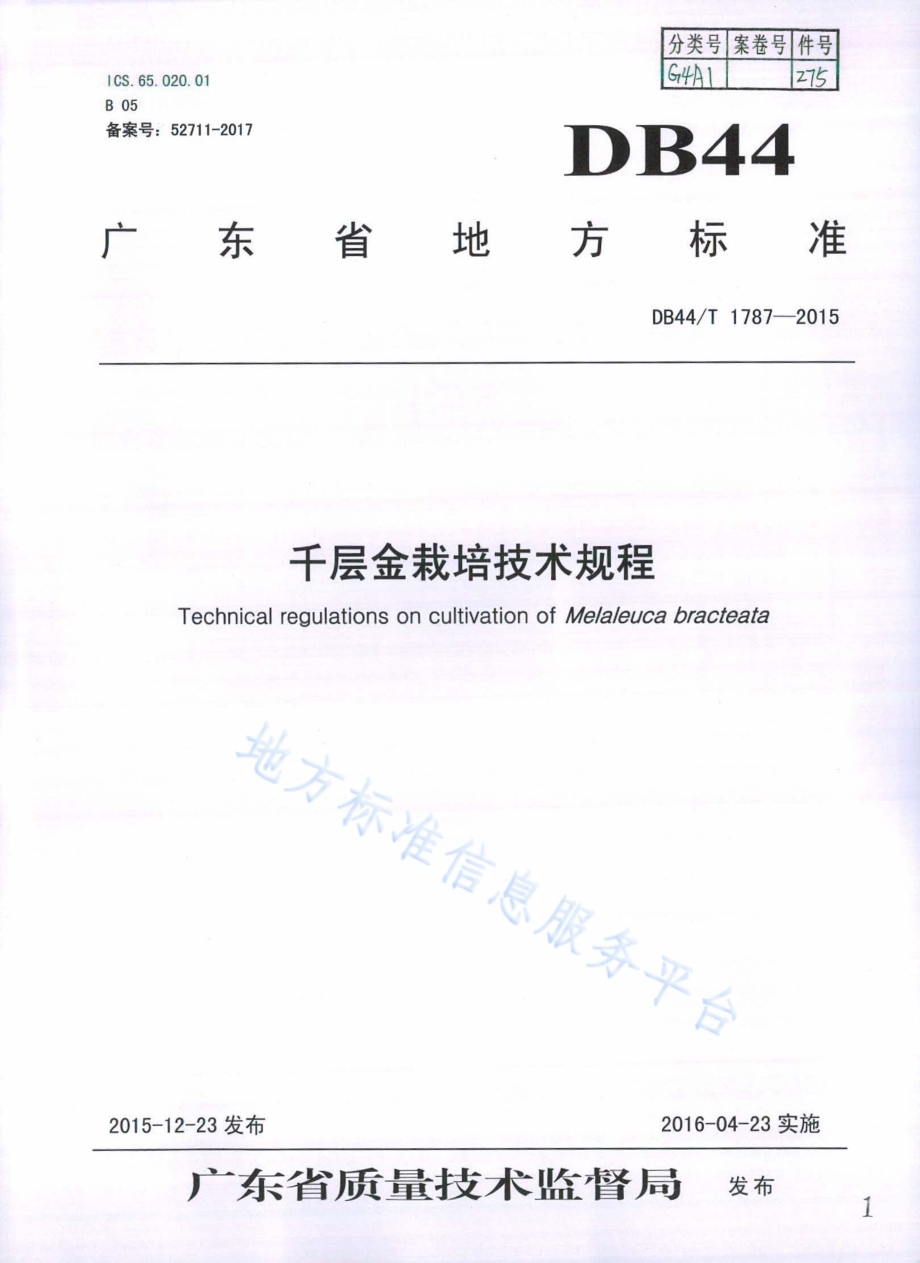 千层金栽培技术规程DB44／T 1787-2015.pdf_第1页