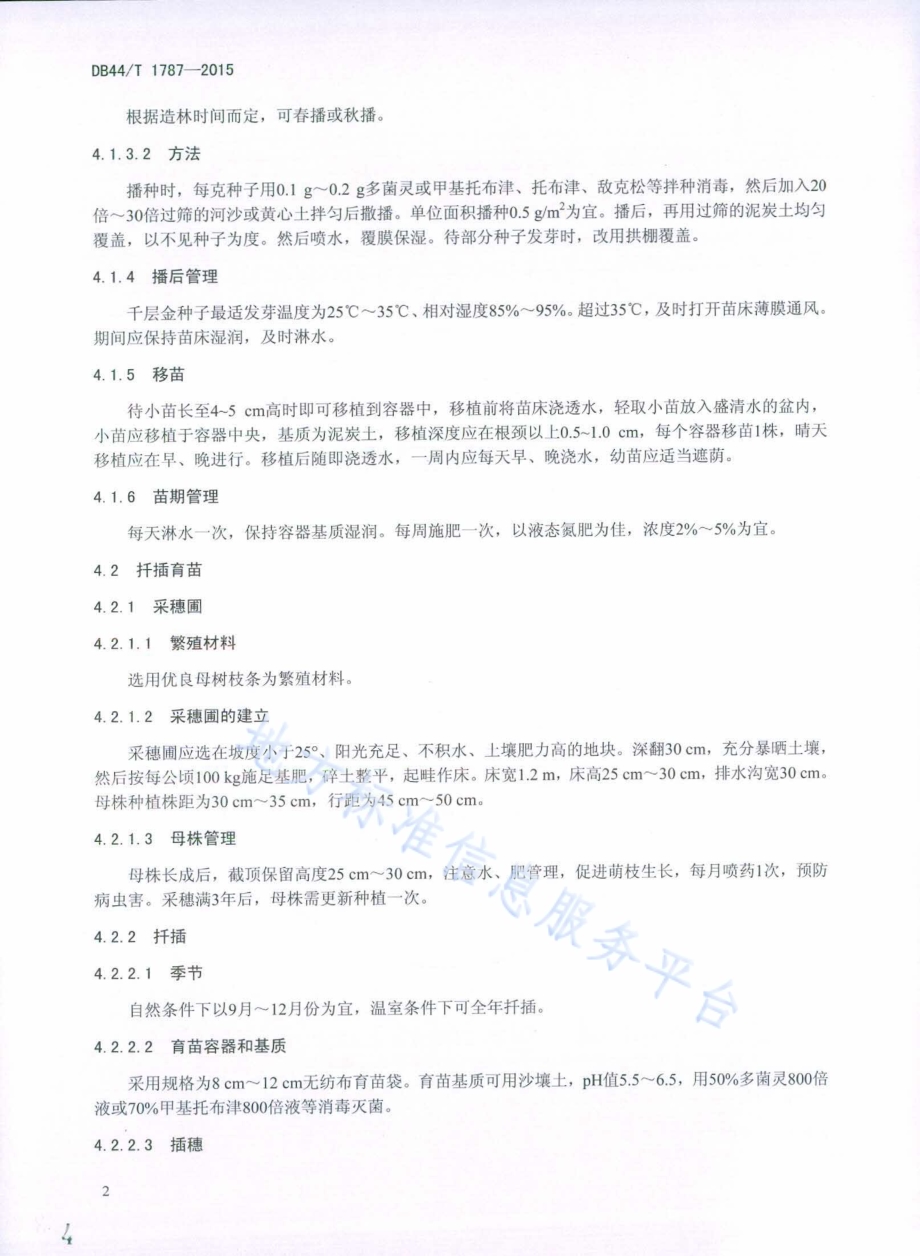 千层金栽培技术规程DB44／T 1787-2015.pdf_第4页