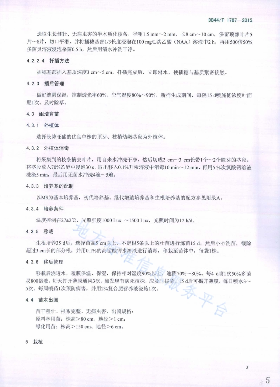 千层金栽培技术规程DB44／T 1787-2015.pdf_第5页