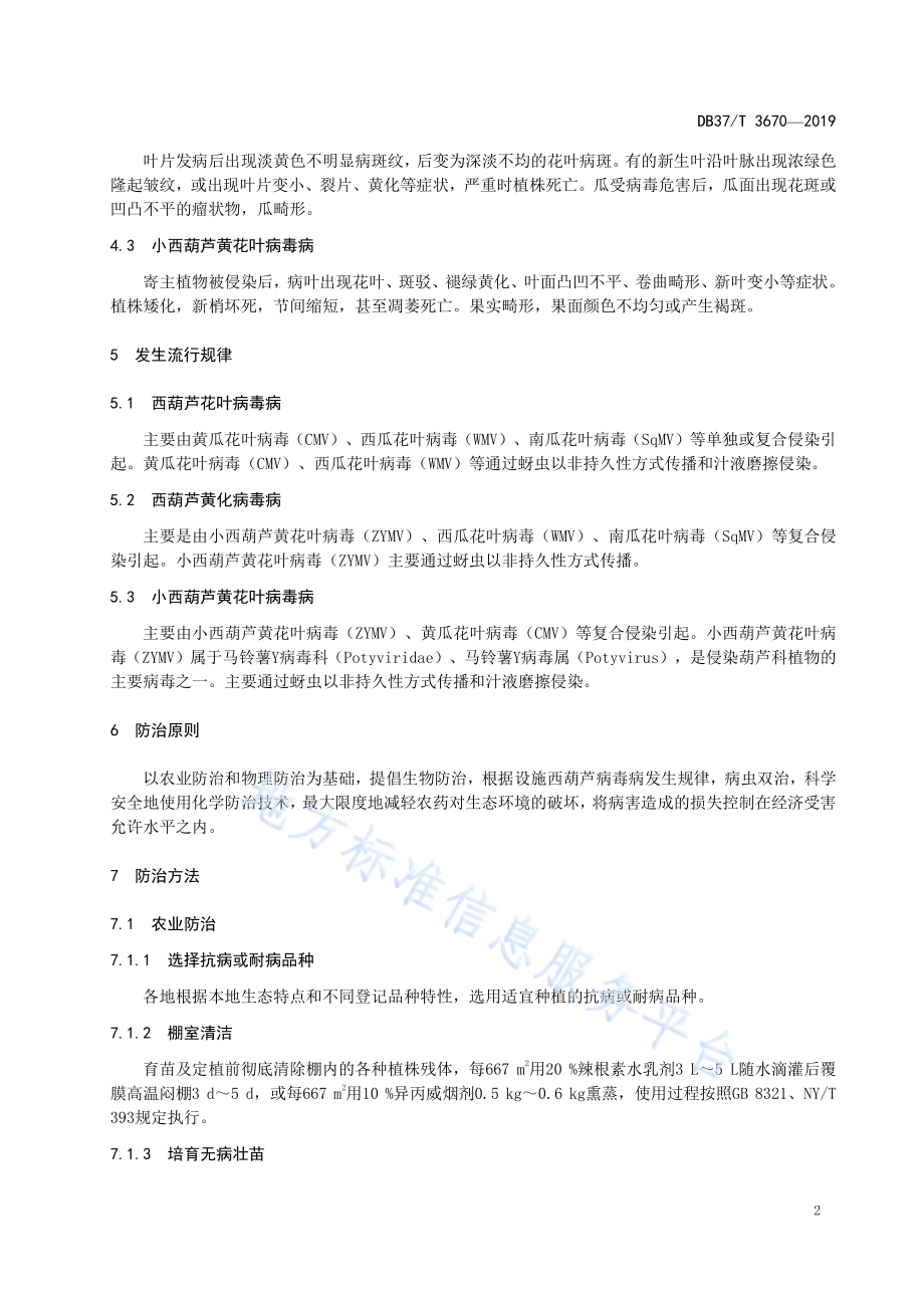 设施西葫芦主要病毒病防控技术规程DB37／T 3670-2019.pdf_第5页