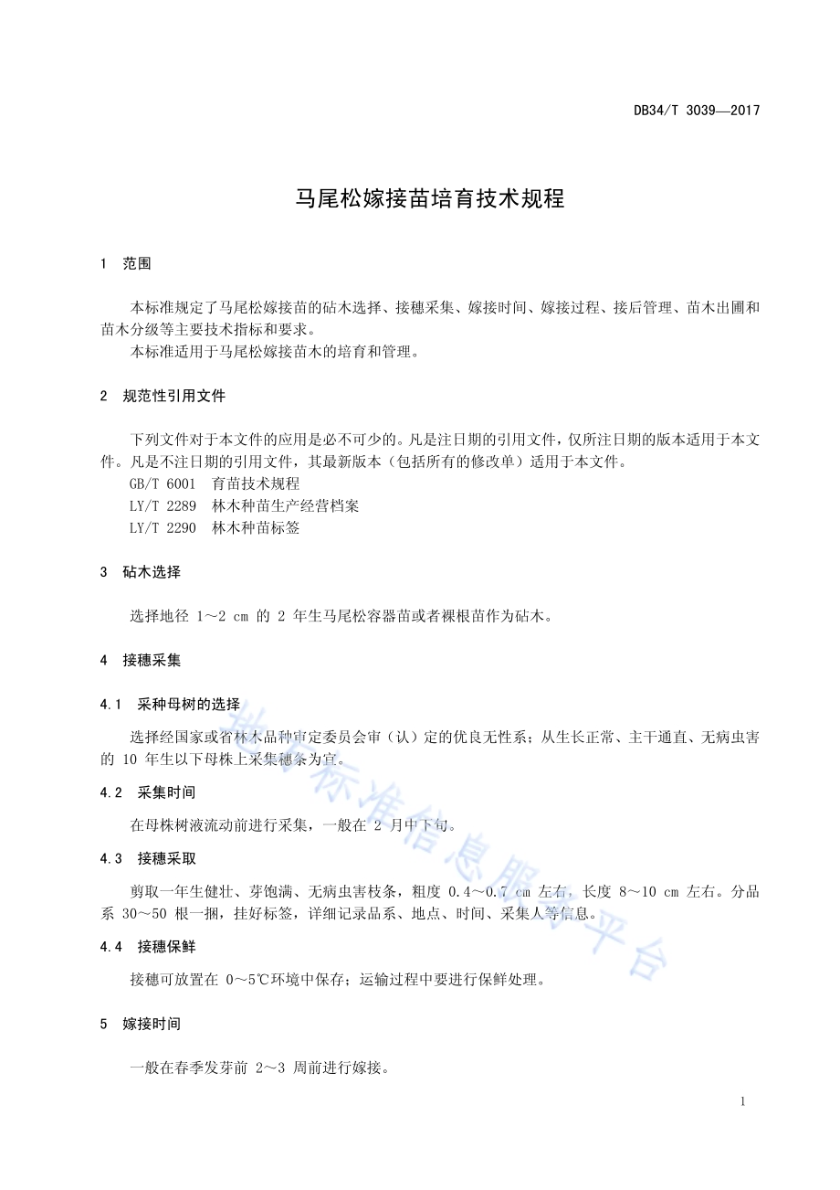 马尾松嫁接苗培育技术规程DB34／T 3039-2017.pdf_第5页