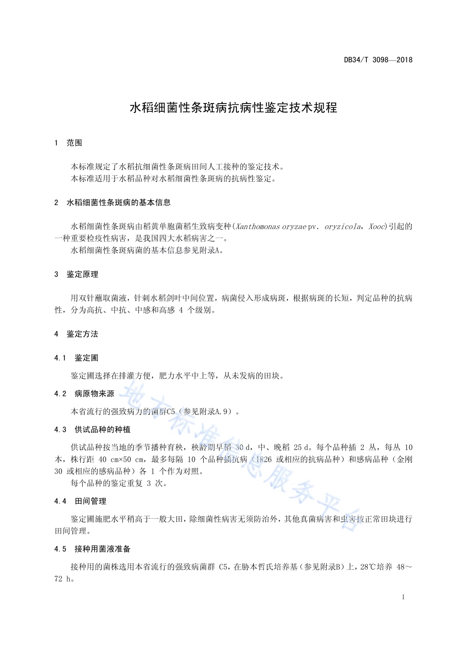 水稻细菌性条斑病抗病性鉴定技术规程DB34／T 3098-2018.pdf_第5页
