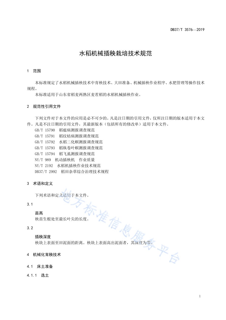 水稻机械插秧栽培技术规范DB37／T 3576-2019.pdf_第4页