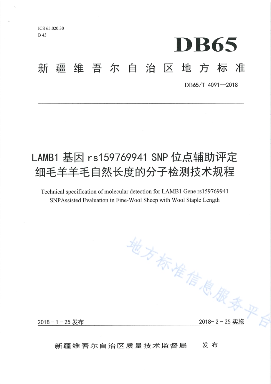 LAMB1基因rs159769941 SNP位点辅助评定细毛羊羊毛自然长度的分子检测技术规程DB65／T 4091-2018.pdf_第1页