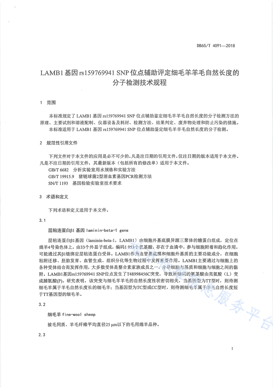 LAMB1基因rs159769941 SNP位点辅助评定细毛羊羊毛自然长度的分子检测技术规程DB65／T 4091-2018.pdf_第5页