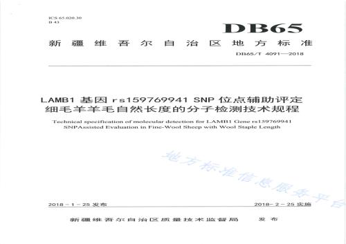 LAMB1基因rs159769941 SNP位点辅助评定细毛羊羊毛自然长度的分子检测技术规程DB65／T 4091-2018.pdf