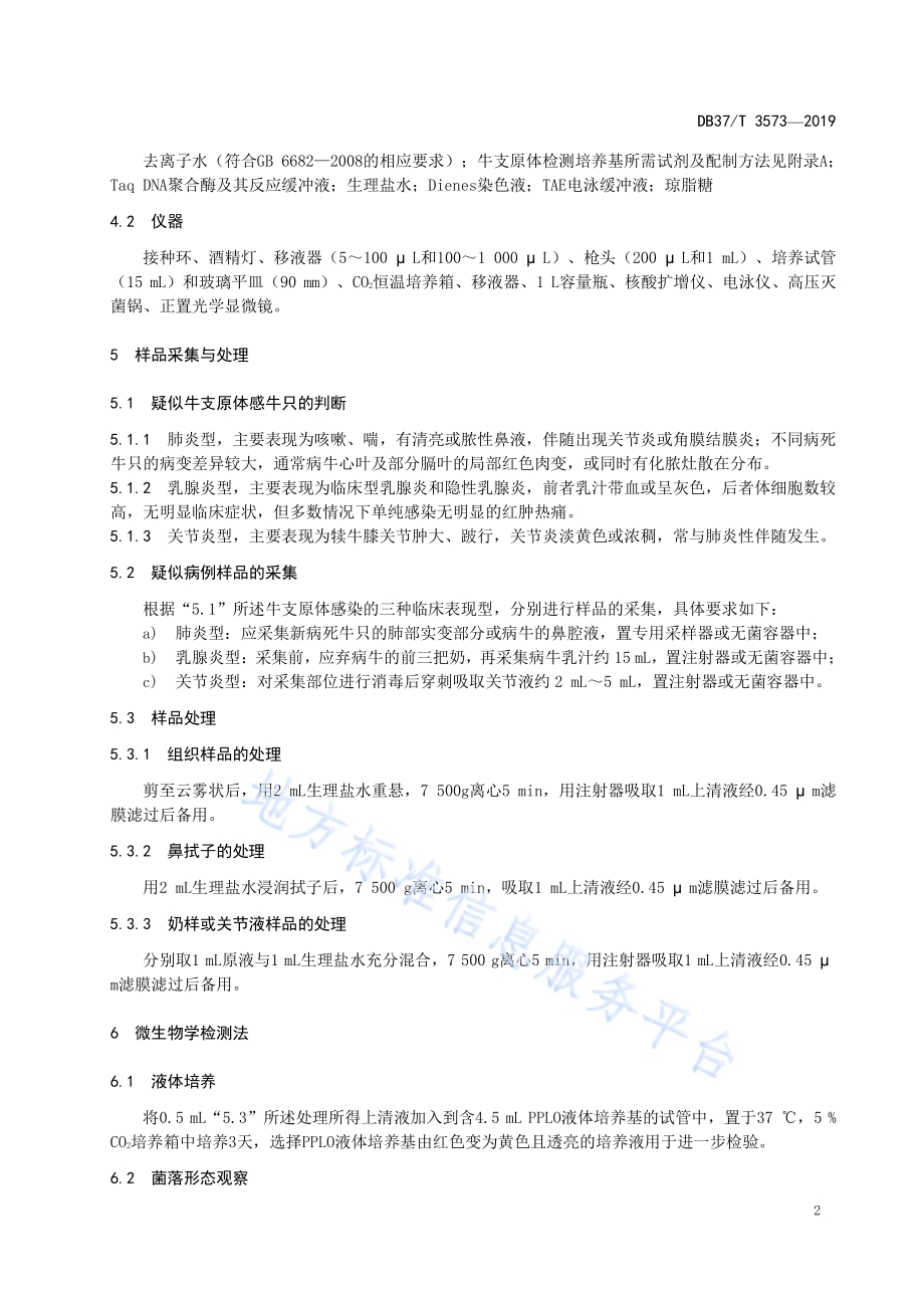 牛支原体诊断技术规程DB37／T 3573-2019.pdf_第5页
