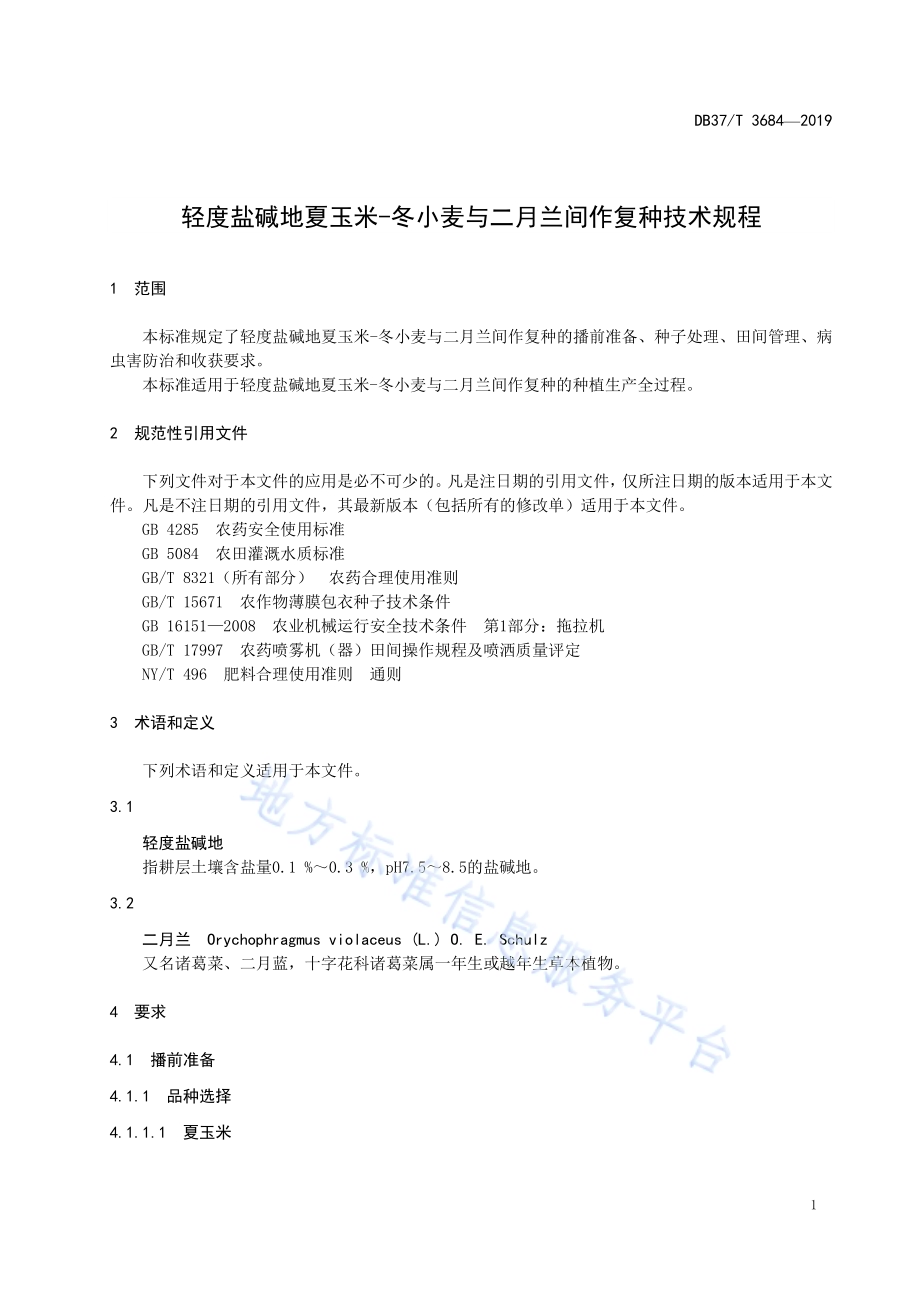 轻度盐碱地夏玉米-冬小麦与二月兰间作复种技术规程DB37／T 3684-2019.pdf_第3页