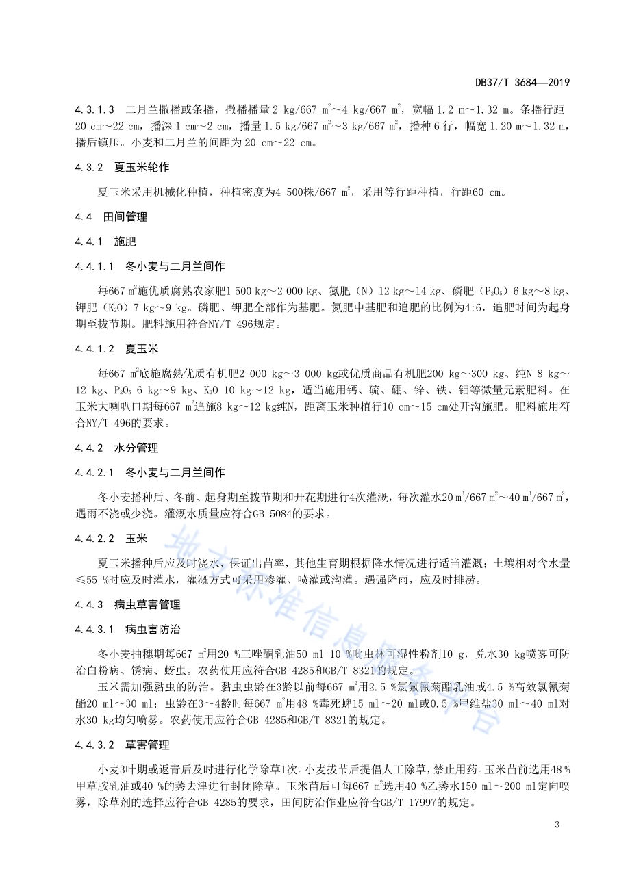 轻度盐碱地夏玉米-冬小麦与二月兰间作复种技术规程DB37／T 3684-2019.pdf_第5页