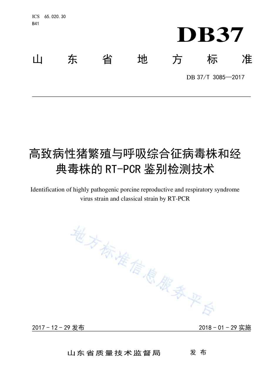 高致病性猪繁殖与呼吸综合征病毒株和经典毒株的RT-PCR鉴别检测技术DB37／T 3085-2017.pdf_第1页