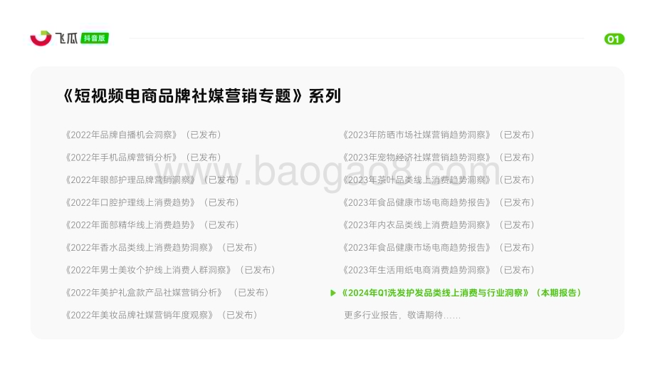 20240430_飞瓜数据_洗发护发行业：2024年Q1洗发护发品类线上消费与行业洞察报告_29页.pdf_第2页