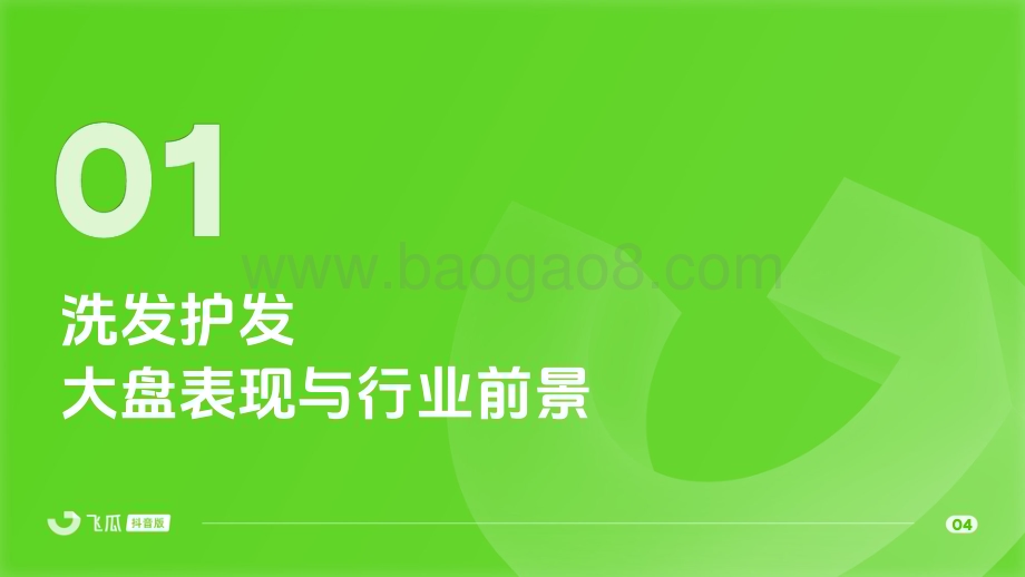 20240430_飞瓜数据_洗发护发行业：2024年Q1洗发护发品类线上消费与行业洞察报告_29页.pdf_第5页
