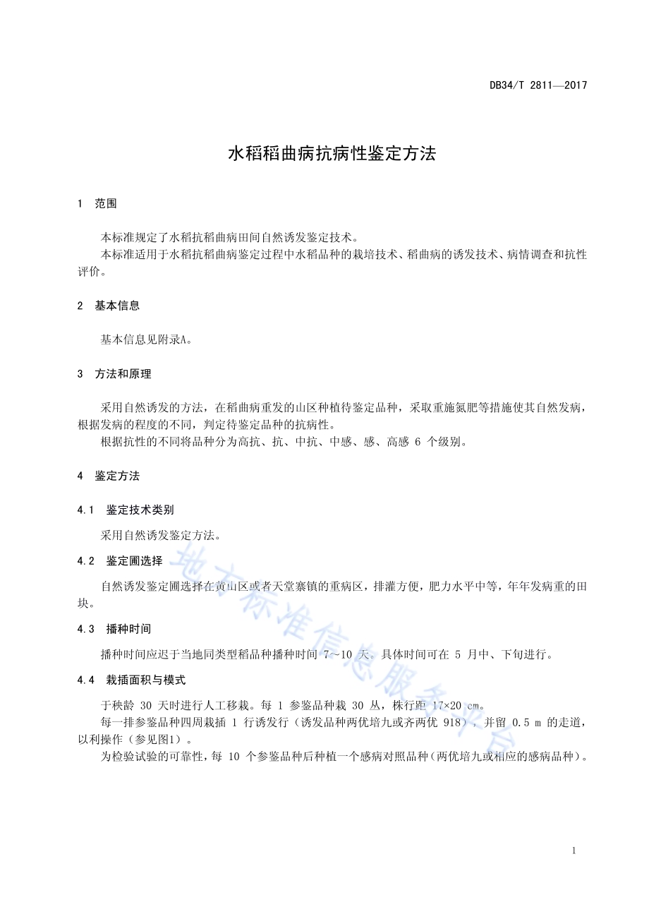 水稻稻曲病抗病性鉴定方法DB34／T 2811-2017.pdf_第5页