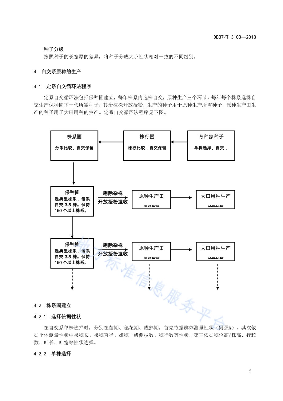 保持玉米亲本特征特性种子生产技术规程DB37／T 3103-2018.pdf_第4页