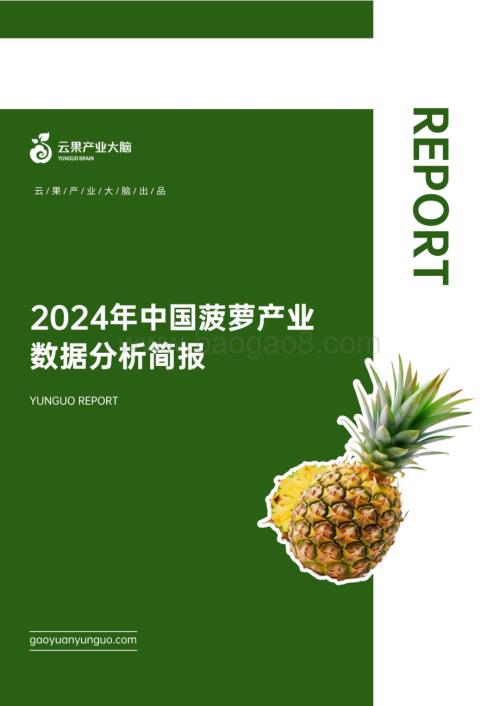 20240512_云果_水果行业：2024年中国菠萝产业数据分析简报_21页.pdf