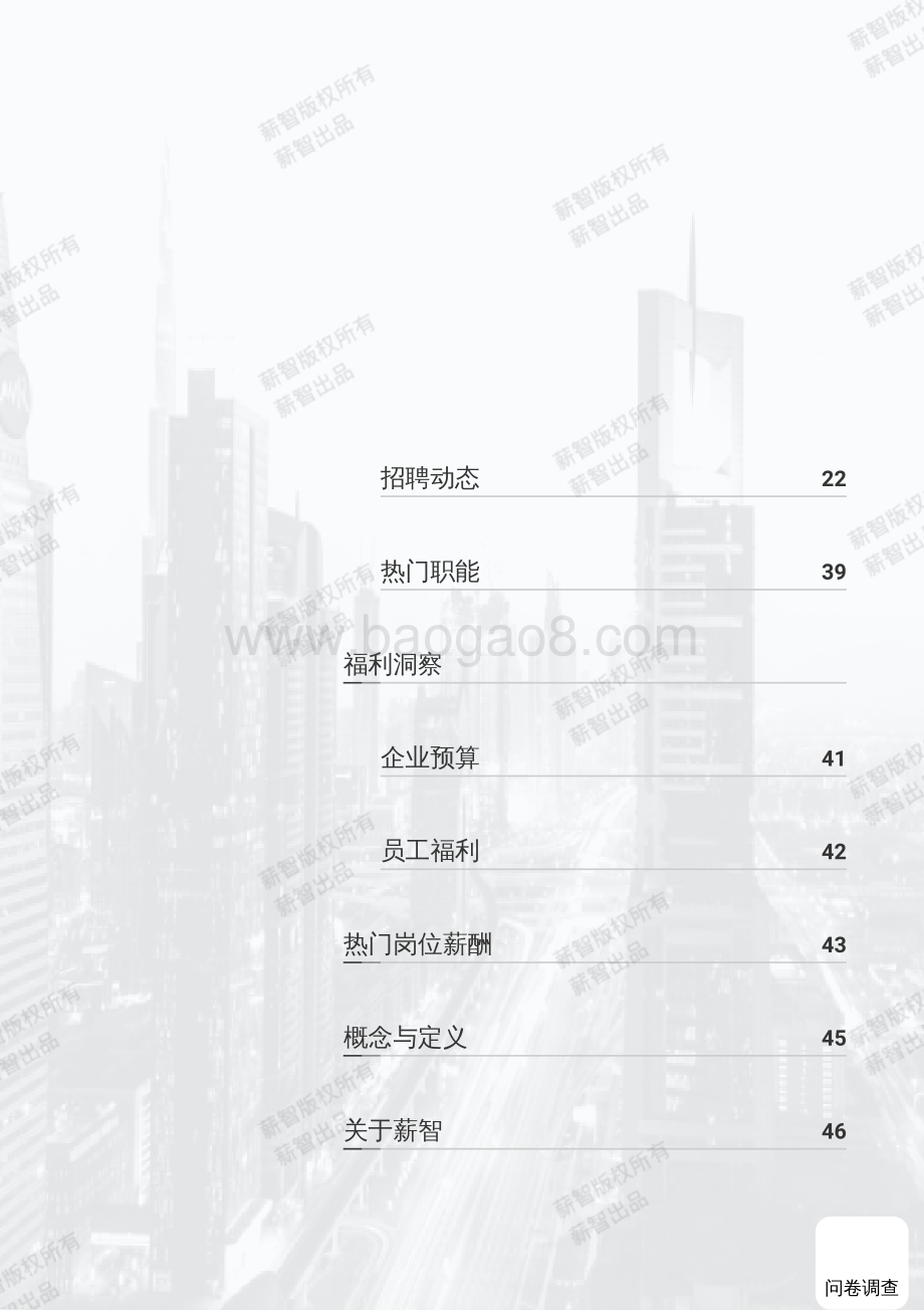 20240508_薪智_2024年咨询服务行业白皮书_58页.pdf_第5页