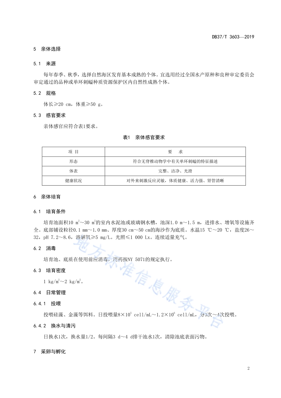 单环刺螠苗种繁育技术规程DB37／T 3603-2019.pdf_第5页