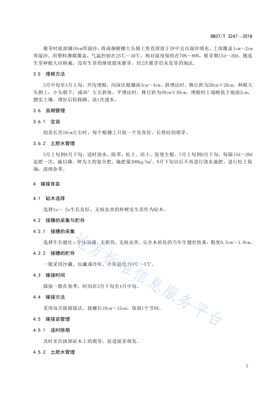 楸树育苗技术规程DB37／T 3247-2018.pdf_第4页