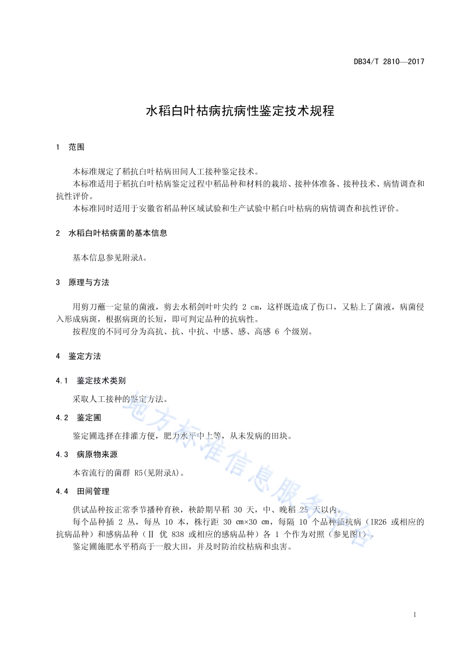水稻白叶枯病抗病性鉴定技术规程DB34／T 2810-2017.pdf_第5页