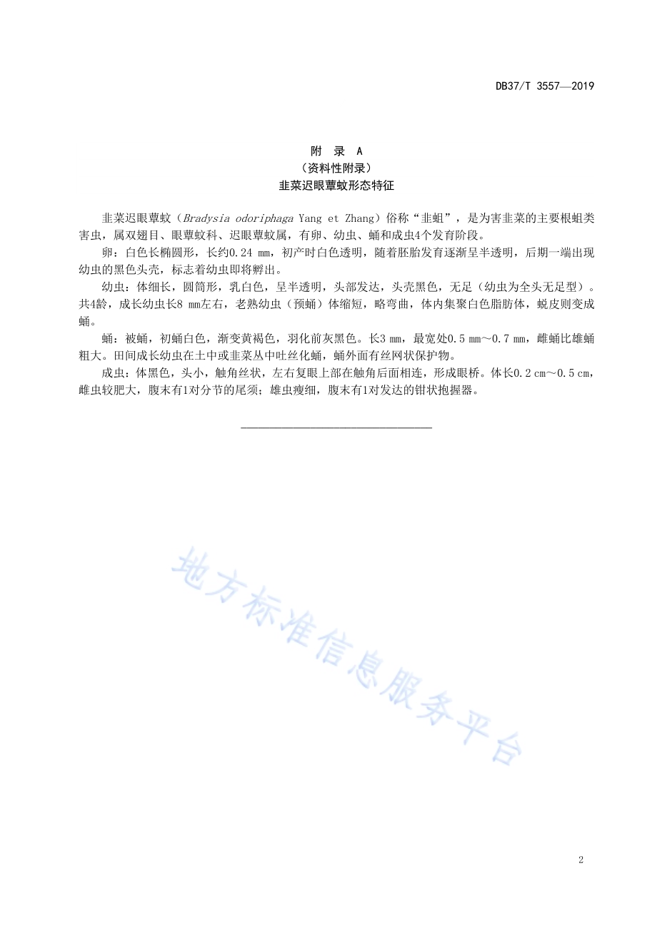 臭氧水防治设施韭菜韭蛆技术规程DB37／T 3557-2019.pdf_第5页