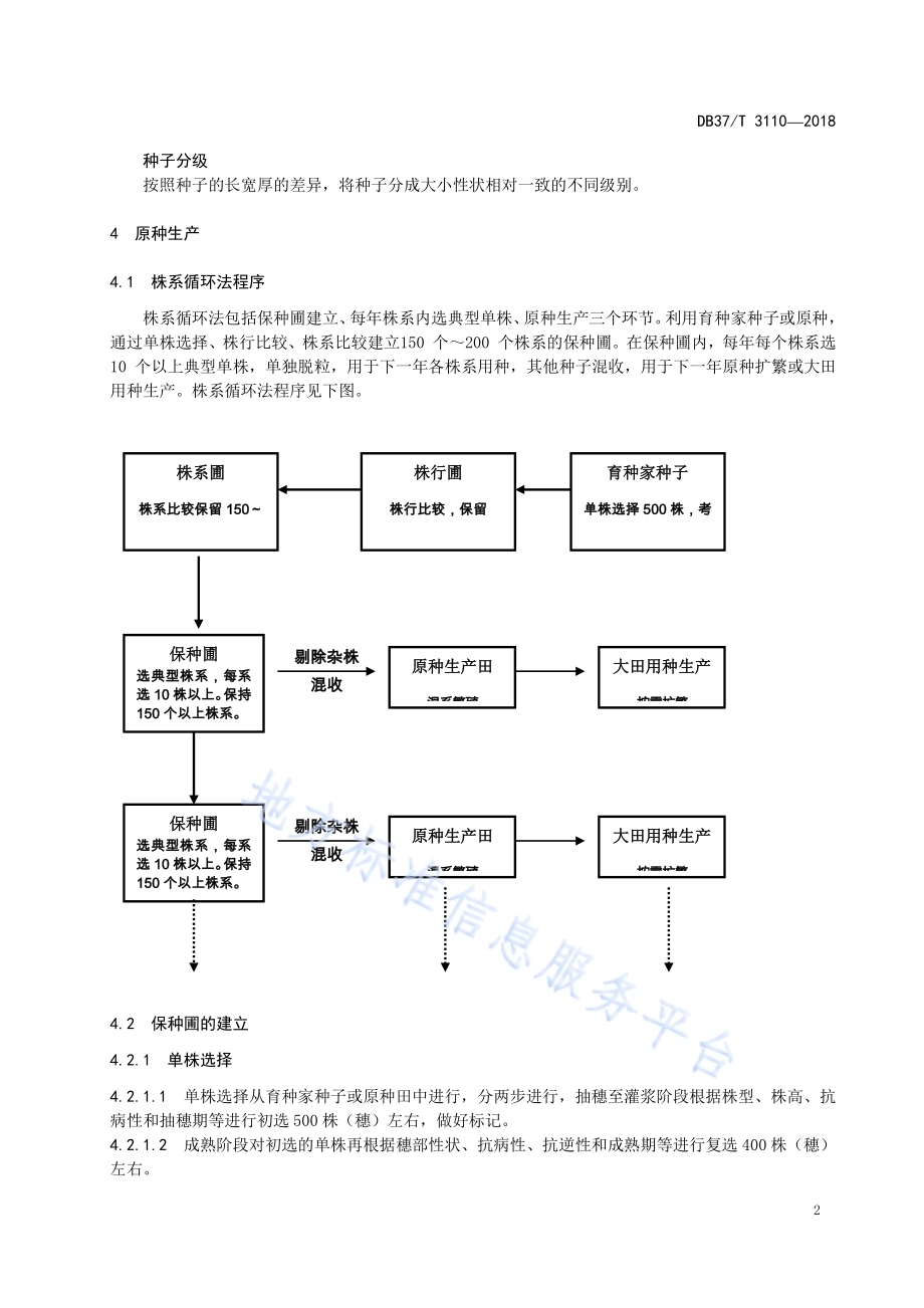 高质量小麦种子生产技术规程DB37／T 3110-2018.pdf_第4页
