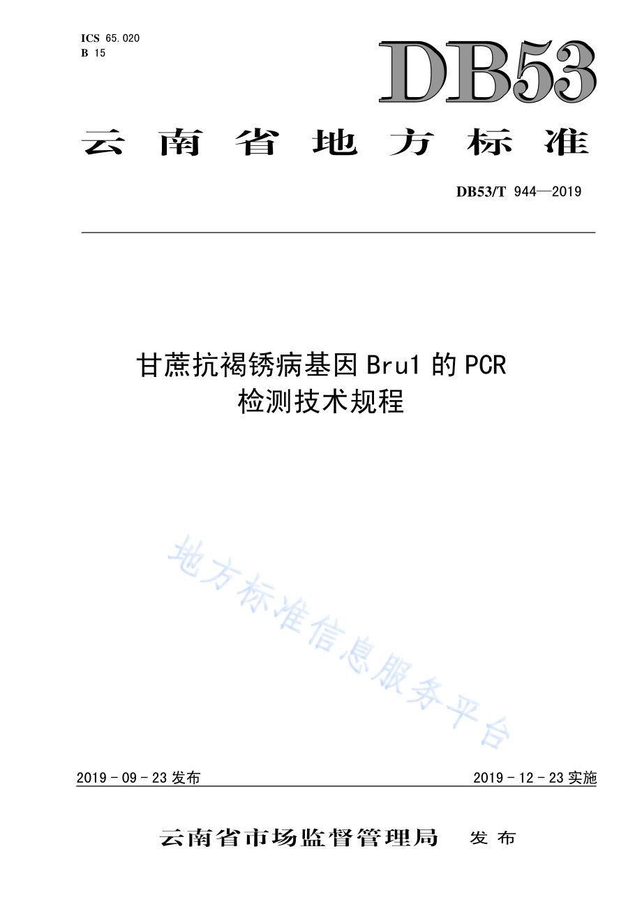 甘蔗抗褐锈病基因Bru1的PCR检测技术规程DB53／T 944-2019.pdf_第1页
