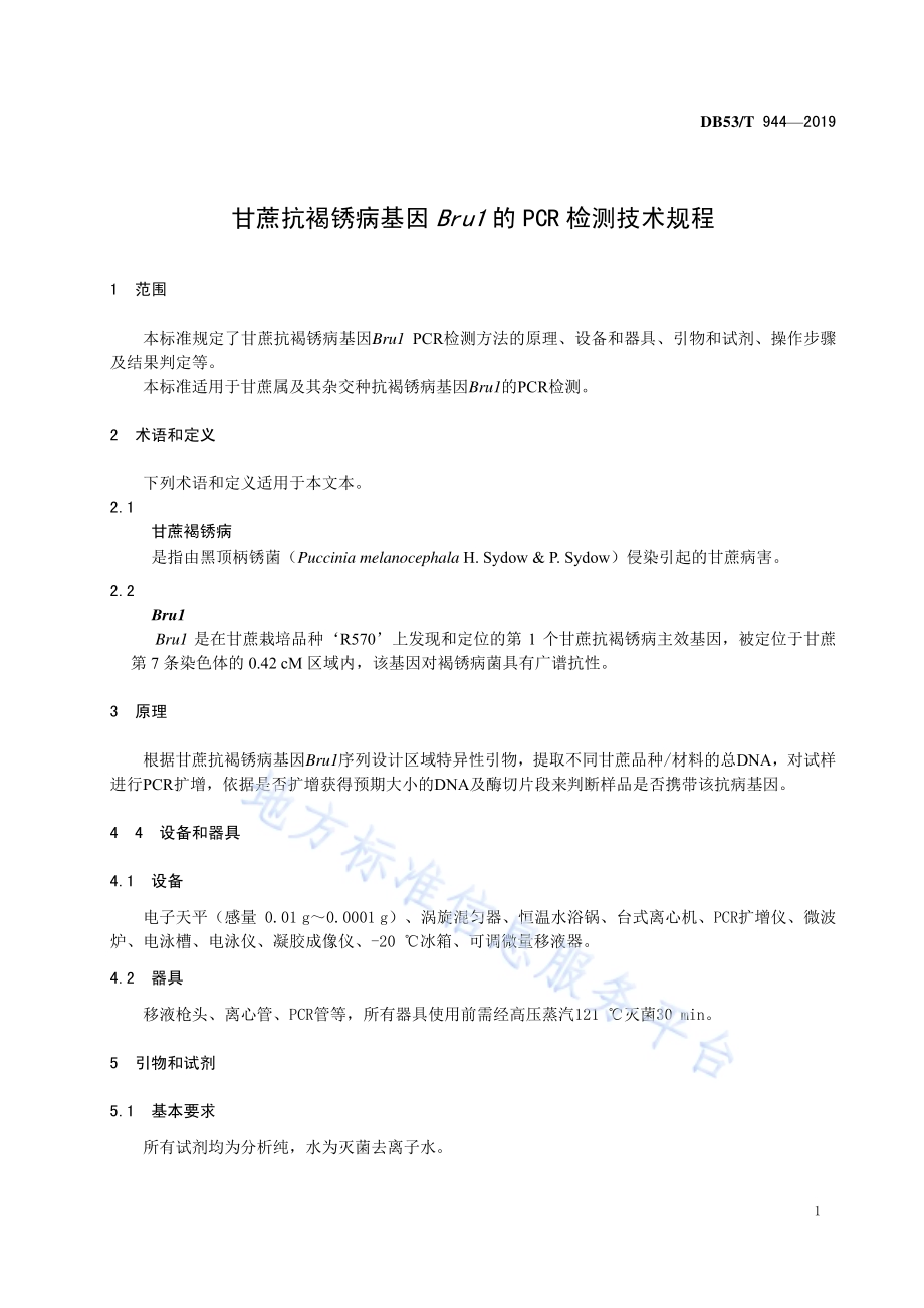甘蔗抗褐锈病基因Bru1的PCR检测技术规程DB53／T 944-2019.pdf_第5页