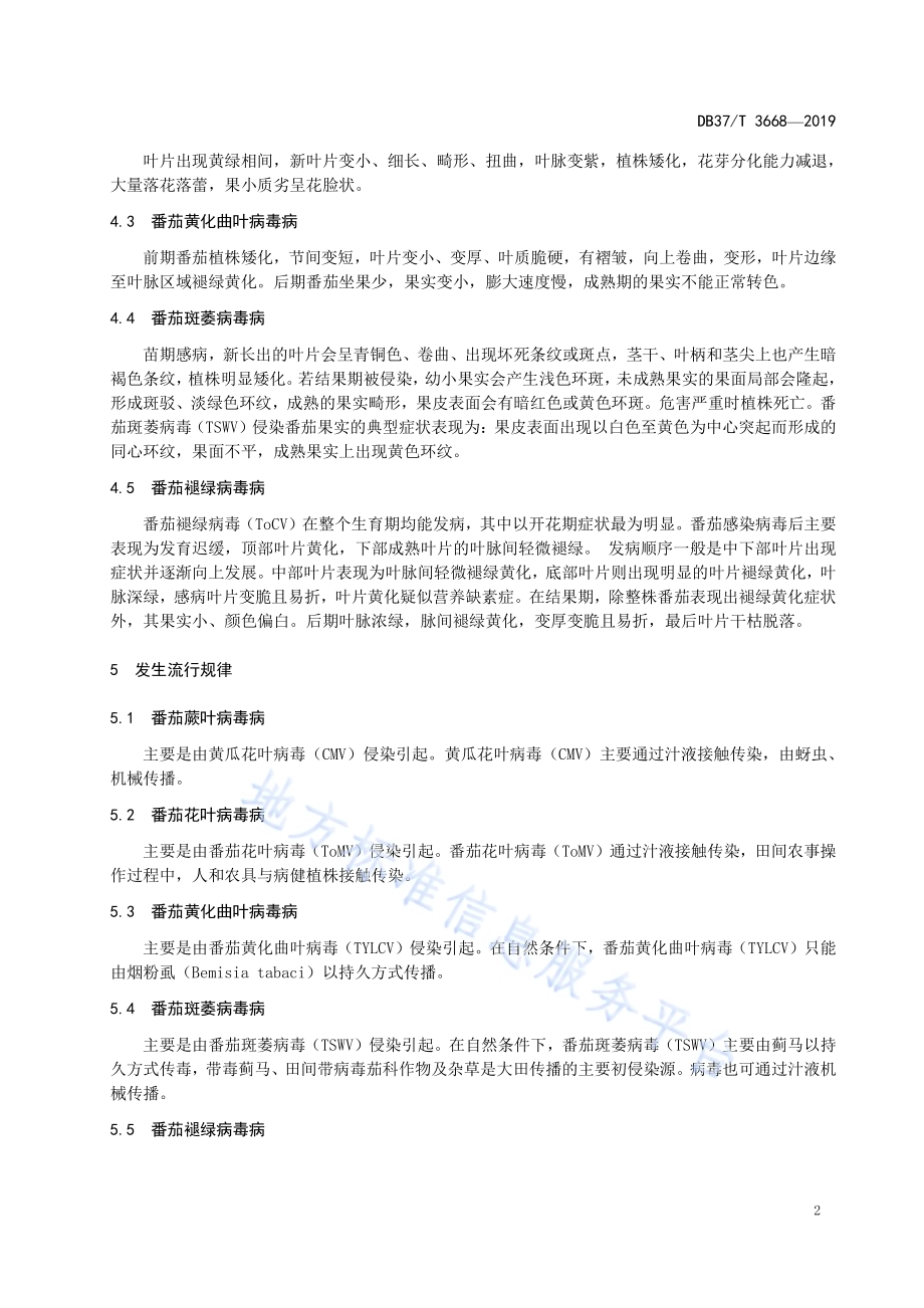 设施番茄主要病毒病防控技术规程DB37／T 3668-2019.pdf_第5页