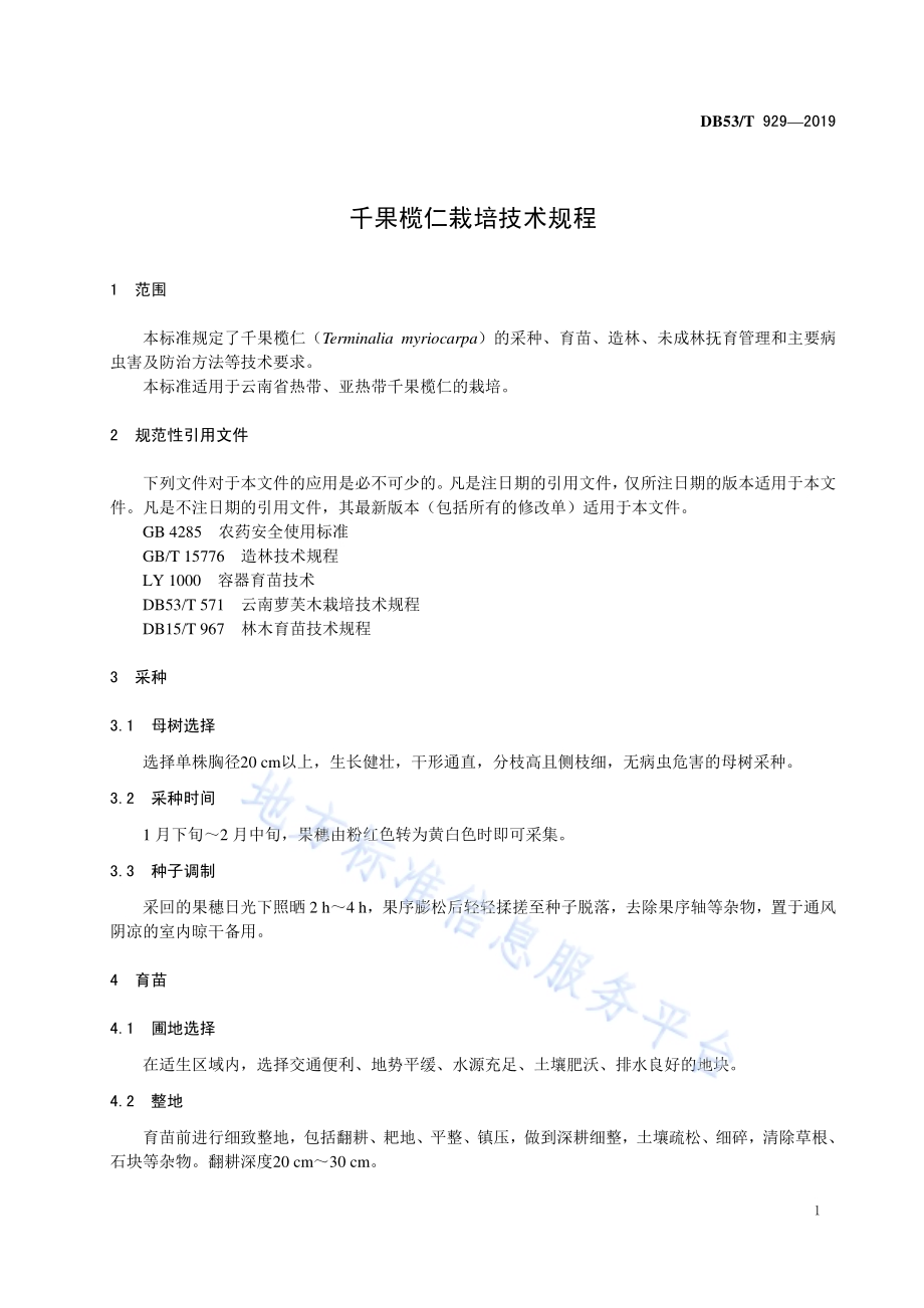 千果榄仁栽培技术规程DB53／T 929-2019.pdf_第5页